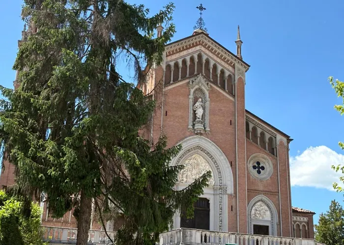 Vivic Attic Monforte *